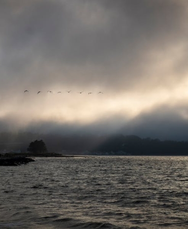 Galatasaray8217in-Gozu-Osimhen8217de-Sakatlik-Durumu-Transfer-Potansiyelini-Nasil-Etkiliyor-featured